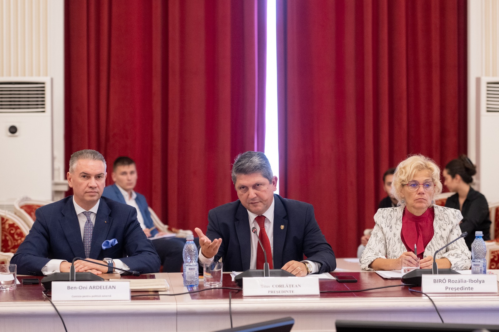 Audierea în Parlament a reprezentanților instituțiilor cu atribuții în gestionarea cazurilor de preluare abuzivă a copiilor minori cetățeni români de către serviciile sociale din alte state 